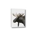 Picture of Moose _GroupedProduct_Rectangle_Portrait_Photography _GroupedProduct_Rectangle_Portrait_Canvas_