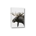 Picture of Moose _GroupedProduct_Rectangle_Portrait_Photography _GroupedProduct_Rectangle_Portrait_Canvas_