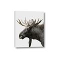 Picture of Moose _GroupedProduct_Rectangle_Portrait_Photography _GroupedProduct_Rectangle_Portrait_Canvas_