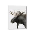 Picture of Moose _GroupedProduct_Rectangle_Portrait_Photography _GroupedProduct_Rectangle_Portrait_Canvas_