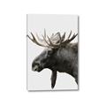 Picture of Moose _GroupedProduct_Rectangle_Portrait_Photography _GroupedProduct_Rectangle_Portrait_Canvas_