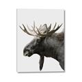 Picture of Moose _GroupedProduct_Rectangle_Portrait_Photography _GroupedProduct_Rectangle_Portrait_Canvas_