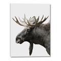 Picture of Moose _GroupedProduct_Rectangle_Portrait_Photography _GroupedProduct_Rectangle_Portrait_Canvas_