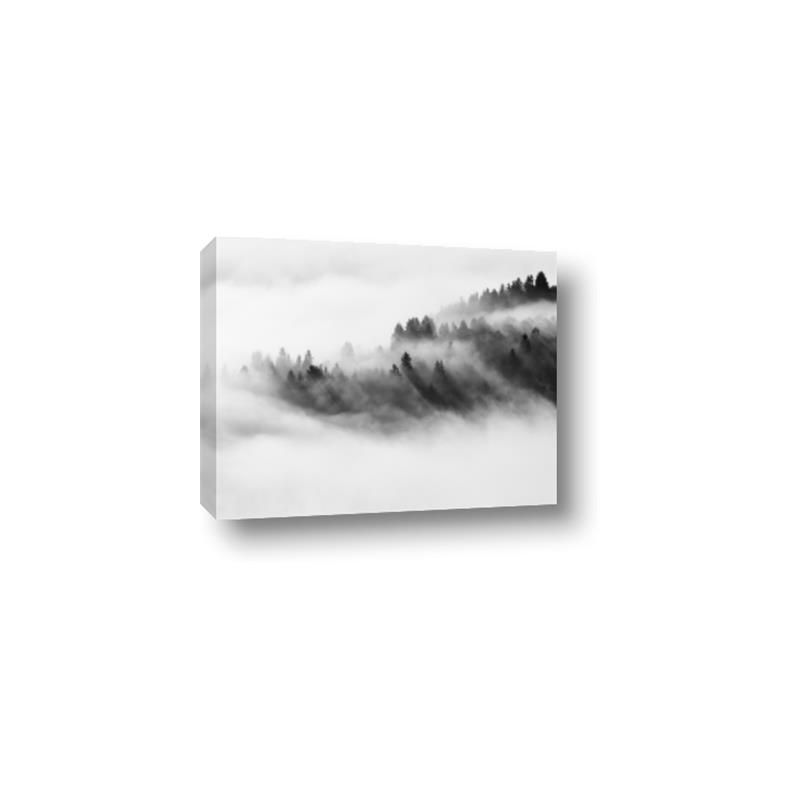 Picture of Mystic foggy forest _GroupedProduct_Rectangle_Landscape_Photography _GroupedProduct_Rectangle_Landscape_Canvas_