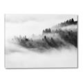 Picture of Mystic foggy forest _GroupedProduct_Rectangle_Landscape_Photography _GroupedProduct_Rectangle_Landscape_Canvas_