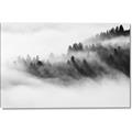Picture of Mystic foggy forest _GroupedProduct_Rectangle_Landscape_Photography _GroupedProduct_Rectangle_Landscape_Canvas_