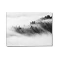 Picture of Mystic foggy forest _GroupedProduct_Rectangle_Landscape_Photography _GroupedProduct_Rectangle_Landscape_Canvas_