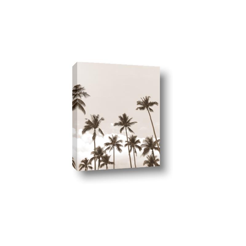 Picture of Palm Goddess _GroupedProduct_Rectangle_Portrait_Photography _GroupedProduct_Rectangle_Portrait_Canvas_