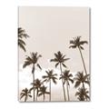 Picture of Palm Goddess _GroupedProduct_Rectangle_Portrait_Photography _GroupedProduct_Rectangle_Portrait_Canvas_