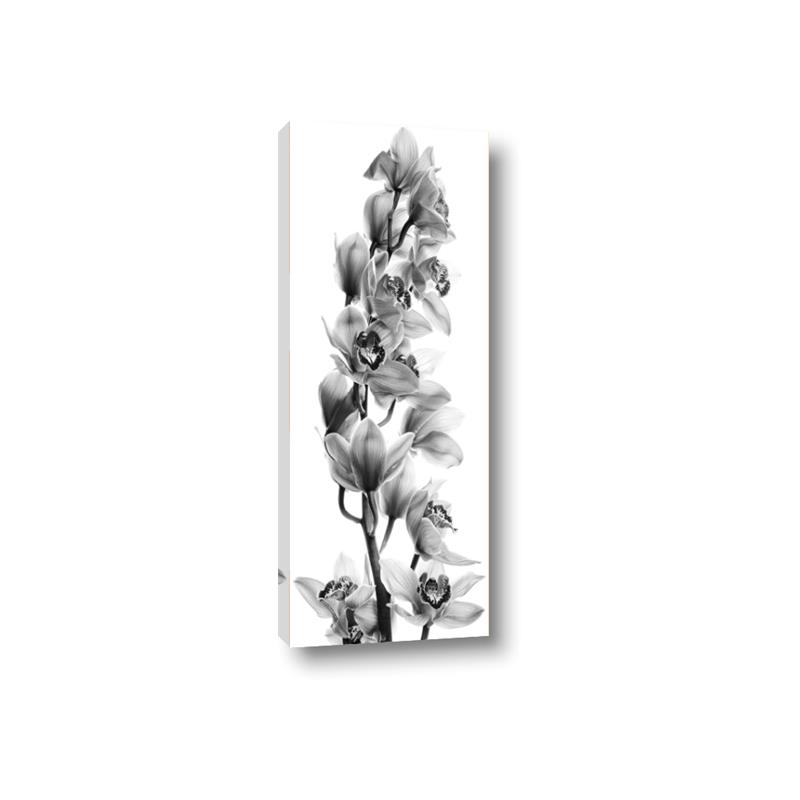 Picture of Orchid Flowers II  _GroupedProduct_Panel_Portrait_Photography _GroupedProduct_Panel_Portrait_Canvas_