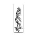 Picture of Orchid Flowers II  _GroupedProduct_Panel_Portrait_Photography _GroupedProduct_Panel_Portrait_Canvas_