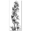 Picture of Orchid Flowers II  _GroupedProduct_Panel_Portrait_Photography _GroupedProduct_Panel_Portrait_Canvas_