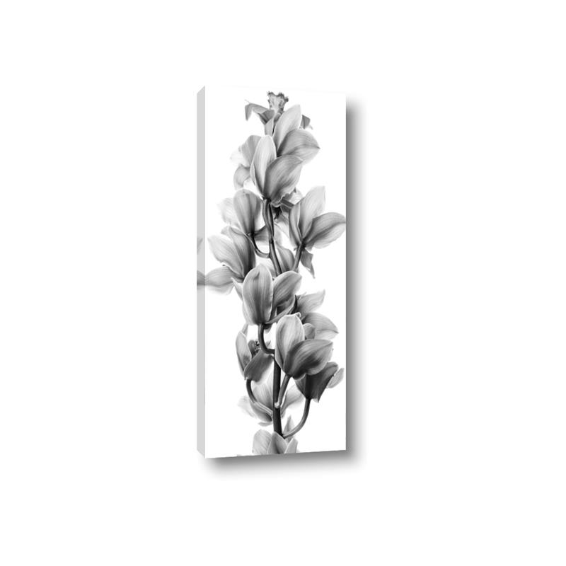 Picture of Orchid Flowers I  _GroupedProduct_Panel_Portrait_Photography _GroupedProduct_Panel_Portrait_Canvas_