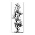 Picture of Orchid Flowers I  _GroupedProduct_Panel_Portrait_Photography _GroupedProduct_Panel_Portrait_Canvas_