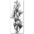 Picture of Orchid Flowers I  _GroupedProduct_Panel_Portrait_Photography _GroupedProduct_Panel_Portrait_Canvas_