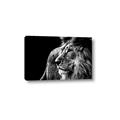 Picture of The Big Cat _GroupedProduct_Rectangle_Landscape_Photography _GroupedProduct_Rectangle_Landscape_Canvas_