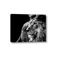 Picture of The Big Cat _GroupedProduct_Rectangle_Landscape_Photography _GroupedProduct_Rectangle_Landscape_Canvas_