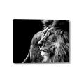Picture of The Big Cat _GroupedProduct_Rectangle_Landscape_Photography _GroupedProduct_Rectangle_Landscape_Canvas_