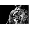 Picture of The Big Cat _GroupedProduct_Rectangle_Landscape_Photography _GroupedProduct_Rectangle_Landscape_Canvas_