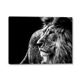 Picture of The Big Cat _GroupedProduct_Rectangle_Landscape_Photography _GroupedProduct_Rectangle_Landscape_Canvas_