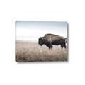 Picture of Bison Field _GroupedProduct_Rectangle_Landscape_Photography _GroupedProduct_Rectangle_Landscape_Canvas_