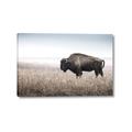 Picture of Bison Field _GroupedProduct_Rectangle_Landscape_Photography _GroupedProduct_Rectangle_Landscape_Canvas_