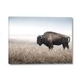 Picture of Bison Field _GroupedProduct_Rectangle_Landscape_Photography _GroupedProduct_Rectangle_Landscape_Canvas_