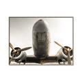 Picture of Plane of Yester Year _GroupedProduct_Rectangle_Landscape_Photography _GroupedProduct_Rectangle_Landscape_Canvas_Framed_