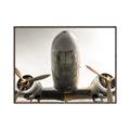 Picture of Plane of Yester Year _GroupedProduct_Rectangle_Landscape_Photography _GroupedProduct_Rectangle_Landscape_Canvas_Framed_