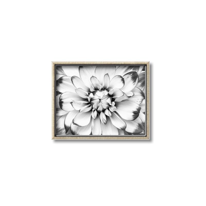 Picture of Black and White Flower _GroupedProduct_Rectangle_Landscape_Photography _GroupedProduct_Rectangle_Landscape_Canvas_Framed_