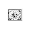 Picture of Black and White Flower _GroupedProduct_Rectangle_Landscape_Photography _GroupedProduct_Rectangle_Landscape_Canvas_Framed_