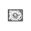 Picture of Black and White Flower _GroupedProduct_Rectangle_Landscape_Photography _GroupedProduct_Rectangle_Landscape_Canvas_Framed_