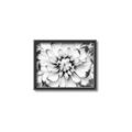 Picture of Black and White Flower _GroupedProduct_Rectangle_Landscape_Photography _GroupedProduct_Rectangle_Landscape_Canvas_Framed_