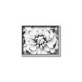 Picture of Black and White Flower _GroupedProduct_Rectangle_Landscape_Photography _GroupedProduct_Rectangle_Landscape_Canvas_Framed_