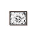 Picture of Black and White Flower _GroupedProduct_Rectangle_Landscape_Photography _GroupedProduct_Rectangle_Landscape_Canvas_Framed_