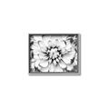 Picture of Black and White Flower _GroupedProduct_Rectangle_Landscape_Photography _GroupedProduct_Rectangle_Landscape_Canvas_Framed_