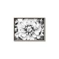 Picture of Black and White Flower _GroupedProduct_Rectangle_Landscape_Photography _GroupedProduct_Rectangle_Landscape_Canvas_Framed_