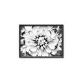 Picture of Black and White Flower _GroupedProduct_Rectangle_Landscape_Photography _GroupedProduct_Rectangle_Landscape_Canvas_Framed_