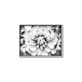 Picture of Black and White Flower _GroupedProduct_Rectangle_Landscape_Photography _GroupedProduct_Rectangle_Landscape_Canvas_Framed_
