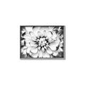 Picture of Black and White Flower _GroupedProduct_Rectangle_Landscape_Photography _GroupedProduct_Rectangle_Landscape_Canvas_Framed_