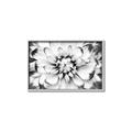 Picture of Black and White Flower _GroupedProduct_Rectangle_Landscape_Photography _GroupedProduct_Rectangle_Landscape_Canvas_Framed_