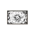 Picture of Black and White Flower _GroupedProduct_Rectangle_Landscape_Photography _GroupedProduct_Rectangle_Landscape_Canvas_Framed_