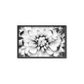 Picture of Black and White Flower _GroupedProduct_Rectangle_Landscape_Photography _GroupedProduct_Rectangle_Landscape_Canvas_Framed_