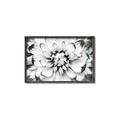 Picture of Black and White Flower _GroupedProduct_Rectangle_Landscape_Photography _GroupedProduct_Rectangle_Landscape_Canvas_Framed_