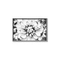 Picture of Black and White Flower _GroupedProduct_Rectangle_Landscape_Photography _GroupedProduct_Rectangle_Landscape_Canvas_Framed_