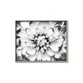 Picture of Black and White Flower _GroupedProduct_Rectangle_Landscape_Photography _GroupedProduct_Rectangle_Landscape_Canvas_Framed_