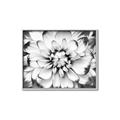 Picture of Black and White Flower _GroupedProduct_Rectangle_Landscape_Photography _GroupedProduct_Rectangle_Landscape_Canvas_Framed_