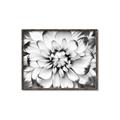 Picture of Black and White Flower _GroupedProduct_Rectangle_Landscape_Photography _GroupedProduct_Rectangle_Landscape_Canvas_Framed_