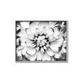 Picture of Black and White Flower _GroupedProduct_Rectangle_Landscape_Photography _GroupedProduct_Rectangle_Landscape_Canvas_Framed_