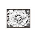 Picture of Black and White Flower _GroupedProduct_Rectangle_Landscape_Photography _GroupedProduct_Rectangle_Landscape_Canvas_Framed_